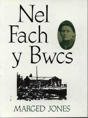 cover image of Nel fach y bwcs